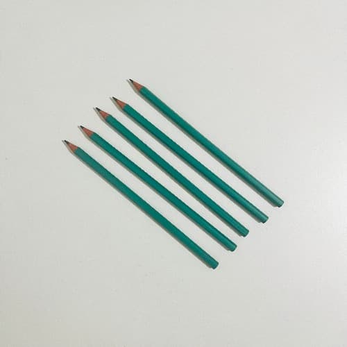 Lapiz Bic Evolution HB